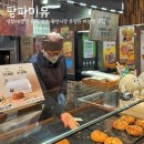 속초 마늘빵 팡파미유 보관 주차 속초 중앙시장 유명 빵집