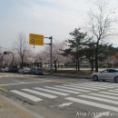 각골공원 이미지