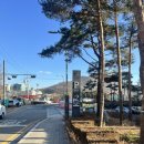 양재체육관 | [양재시민의숲역]서초종합체육관 수영장 수강신청방법 및 리뷰