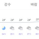 향죽지 네이버블로그