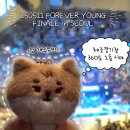 체조경기장 360도 1층 4구역 시야 데이식스 포에버영 서울 콘서트 시간 토롯코 첫막콘 후기