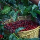 삼학설렁탕 | 사천 맛집 추천 10곳 현지인 추천 리스트