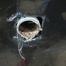 평창군농업기술센터 이미지