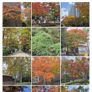 청송부부한의원 | 가을에 대한 예의?