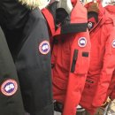 코오롱명품세탁 이미지