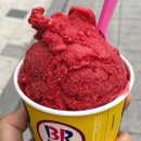 레인보우아이스크림 - 목포시 당가두로13번길 8 | 레인보우아이스크림