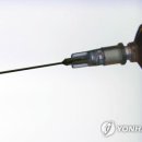 마야메드 이미지