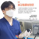 대흥동물병원 네이버블로그