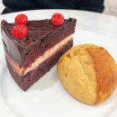 일층카페 | 센텀 신세계 지하일층 스콘 맛집 카페 레이어드 후기, 리얼 초코 케이크