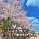 보문역 5번출구 | 성북천 벚꽃길 실시간 서울 벚꽃 만개명소 갈만한곳