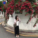 장미로 61 | 연희동 장미스팟 포토존 추천 5/25 방문후기