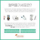 자연히