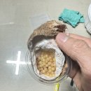 브리딩 팜 이미지