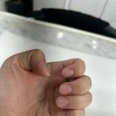 520네일 이미지