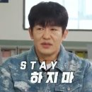 보고보고 이미지