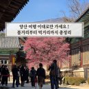 느티나무어린이공원 | 경남 양산 가볼만한곳 이대로만 가세요! 아이랑 완벽 동선