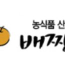 배짱이닷컴