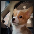 GS25 양산제일점 이미지