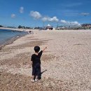 홍3의 서산 여행🏖 (열매반 홍건우) 이미지