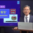 159. '우림'과 '둠밈 이미지