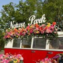 네이처포레어린이집 | [대구] 호텔드포레 +네이처파크 무료관람 후기🦚