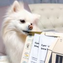 PET119동물병원 | 강아지소변 검사키트 Cym702 pet 집에서 간편하게 체크하세요.