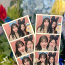 야옹하다 이미지