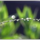 신학농장 이미지