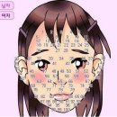 관상학&수상학 Daum카페