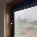 동광의계절 이미지