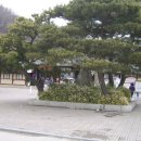 제주가옥 이미지