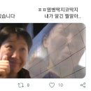 자라우새길 이미지