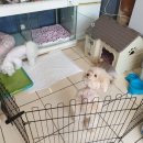 호텔라임 이미지