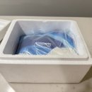 산지직송 구룡포진과메기 | 포항 구룡표 과메기 맛있는 곳 내돈내산 후기 : 나혼자 산다 과메기