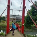 태국골프 그린월드 소식지 이미지