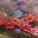 완산-19 네이버블로그