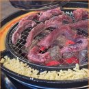 신마포갈매기 - 시흥시 은행로167번길 3 | 신마포갈매기