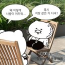 강혜인미용실 | 25년 1월 | 설 연휴에 푹 쉬는 직장인 되다