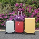 서귀포시청2청사 앞 이미지