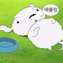 행운을 가져다준다는