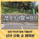 창원 아이랑 가볼만한 무료 &lt;성산유아숲체험원&gt; 방문기｜숲놀이+모험놀이 꿀팁