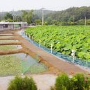 꽃뫼카페휴게소 이미지