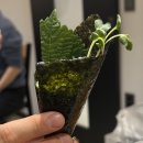 해남 | 인천 구월동 고급스러운 횟집 추천 해남수산 후기