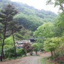 대전비래초등학교 Daum카페