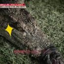 머드온천랜드