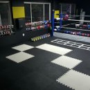 에스복싱클럽 이미지