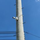 선명태양광발전소 이미지