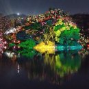 연화드림 | 창경궁 물빛연화 후기 가이드｜춘당지 야간 미디어아트, 사진 포인트·동선·꿀팁까지
