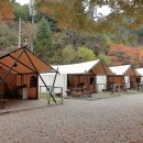 강촌관광농원 이미지