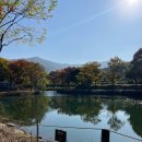 유명산벨리 이미지